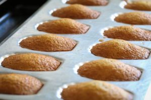 Madeleines Steiner Unsplash